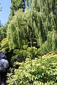 123 - Butchard Gardens  - IMG_1621
